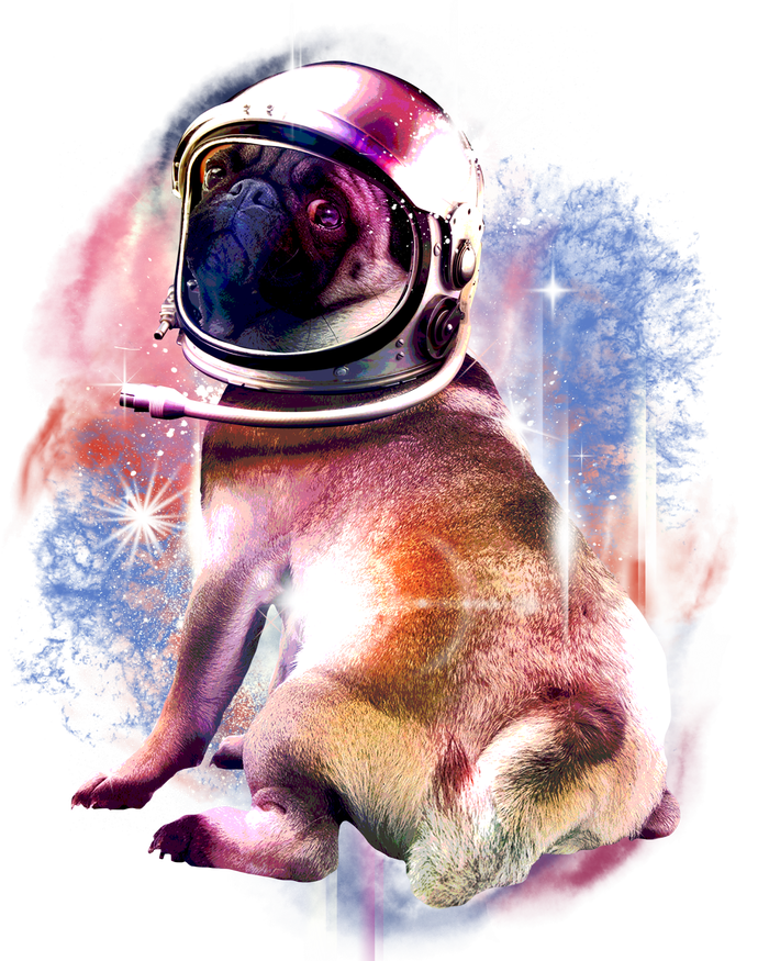 Space Pug Wearing Helmet Long Sleeve Shirt