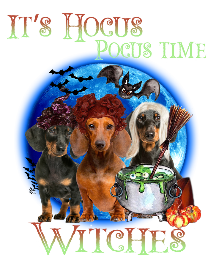 It's Hocus Pocus Time Witches Dachshund Halloween Design Women's Perfect Tri Tunic Long Sleeve Shirt